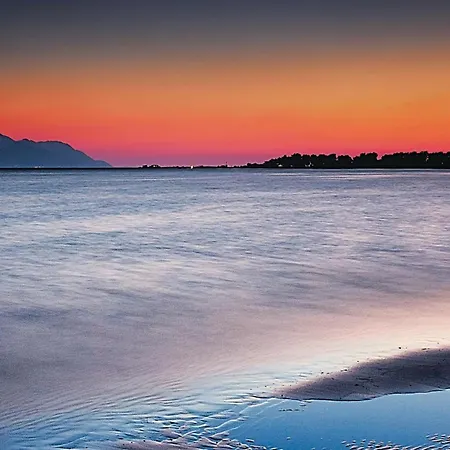 Stunning In Desne