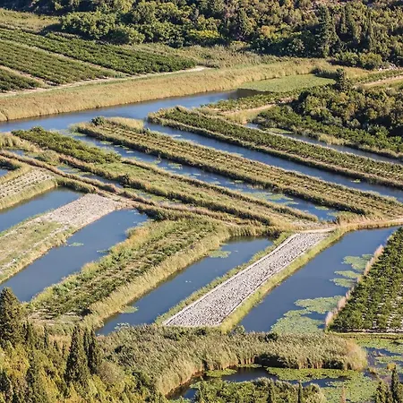 Lovely In Desne With Kitchen Desne